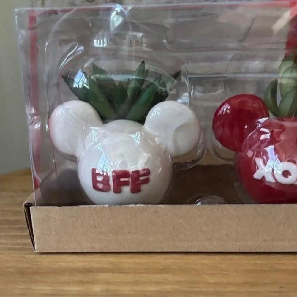 Celebrate Together Valentines Day Set of Three Mickey Mouse Planters w/Succulent